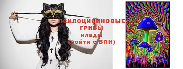 стаф Кулебаки