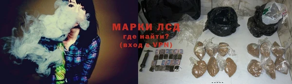 стаф Кулебаки