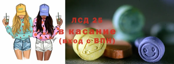 стаф Кулебаки
