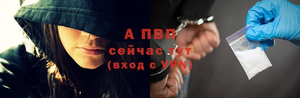 стаф Кулебаки