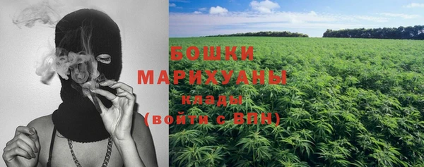 стаф Кулебаки