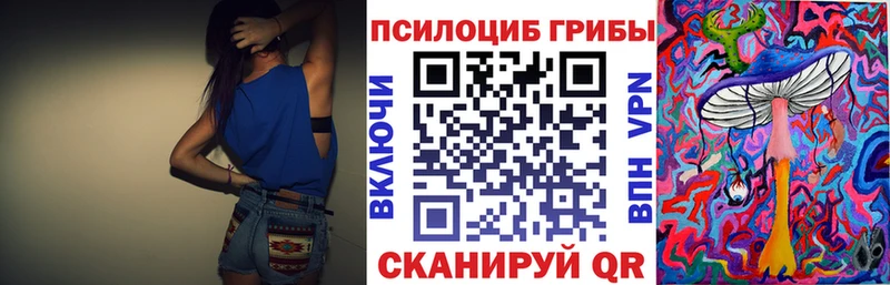 Галлюциногенные грибы Psilocybine cubensis  Купить где  Ахтырский 